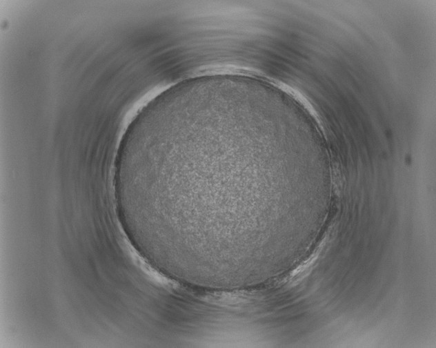 X0000072510995200608041502