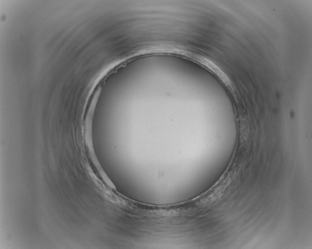 X0000072510996200608041502