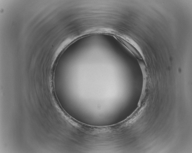 X0000072510997200608041502