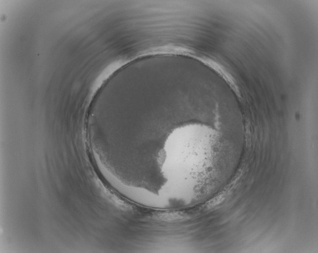 X0000072510998200608041502