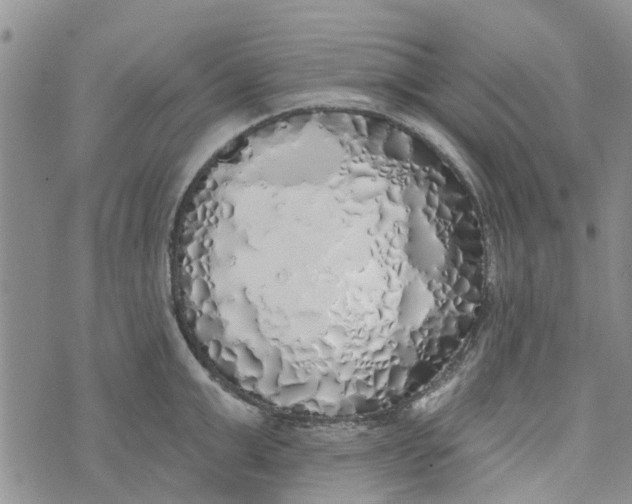 X0000072510999200608041502