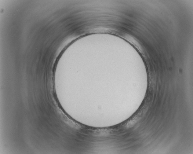 X0000072511000200608041502