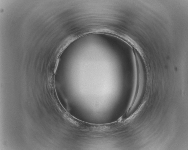 X0000072511001200608041502