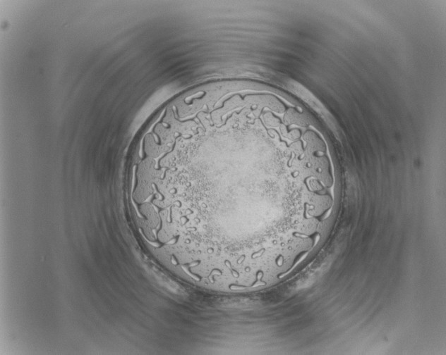 X0000072511002200608041502