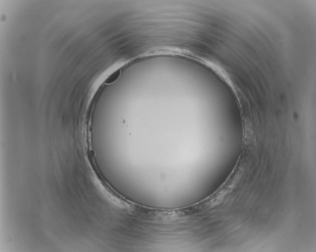 X0000072511003200608041502