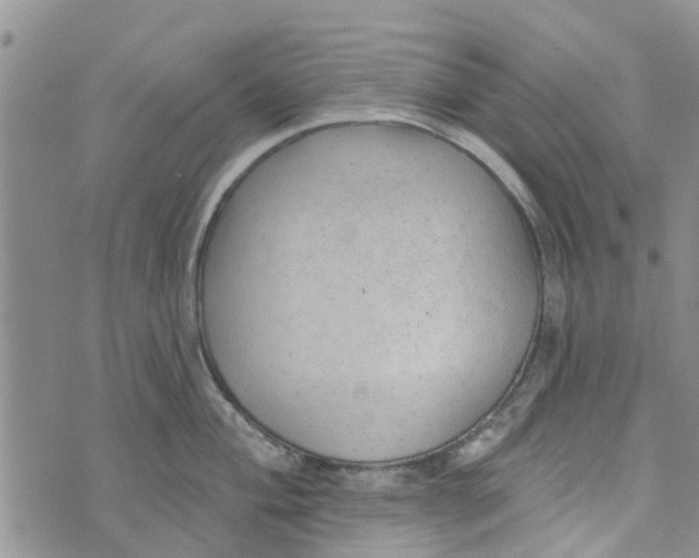 X0000072511004200608041502