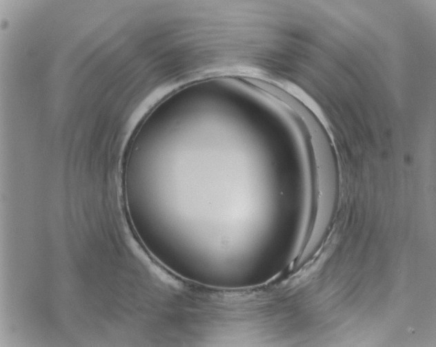 X0000072511005200608041501