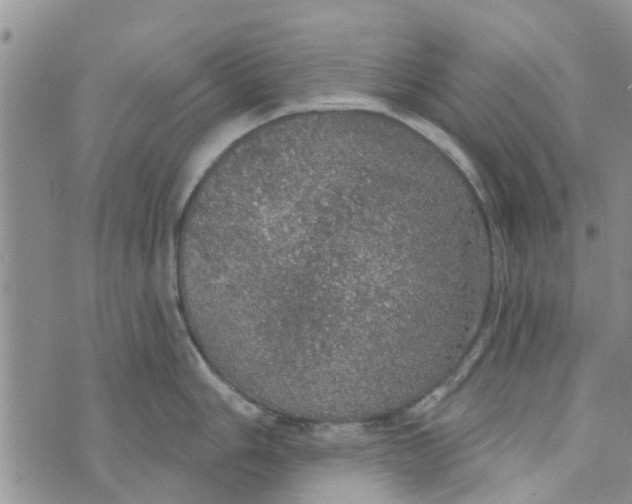 X0000072511006200608041501