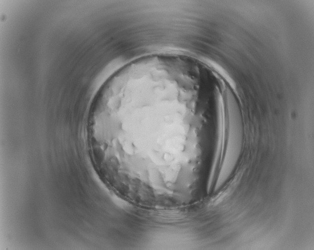 X0000072511007200608041501