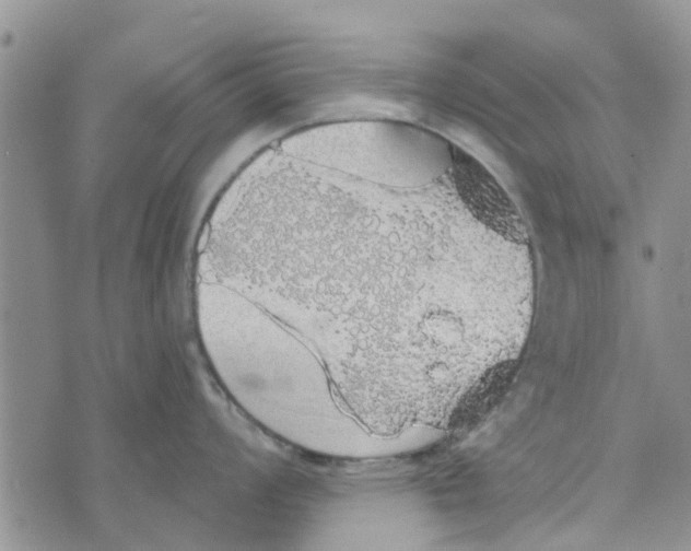 X0000072511008200608041501