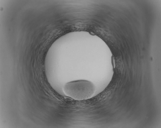 X0000072511009200608041501