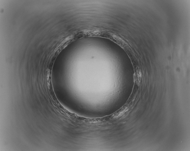 X0000072511010200608041501