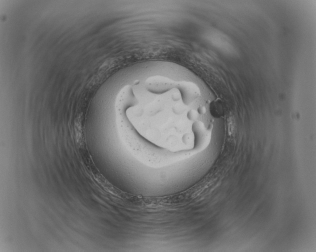 X0000072511011200608041501