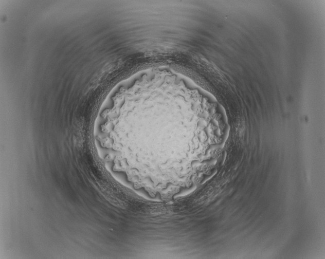 X0000072511012200608041501