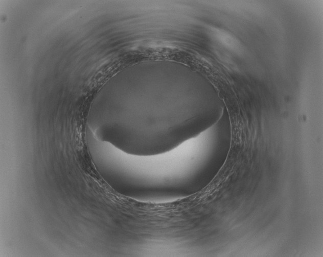 X0000072511013200608041501