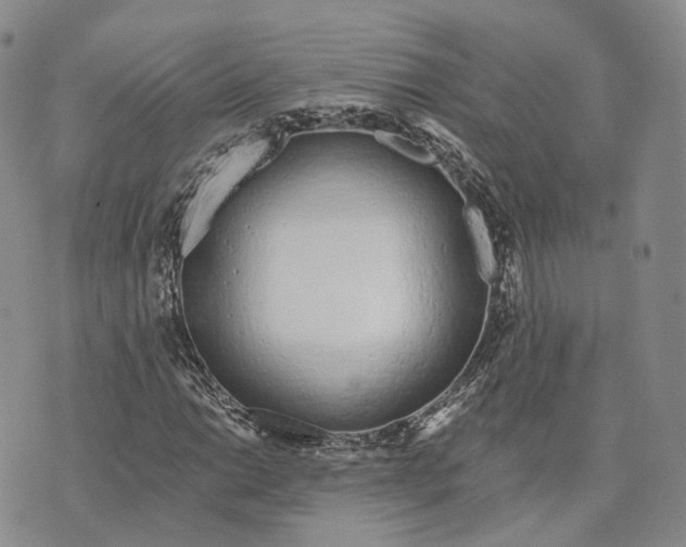 X0000072511014200608041501