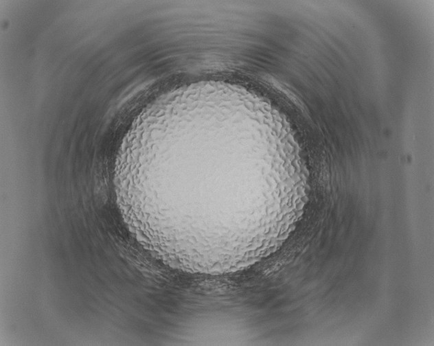 X0000072511015200608041501