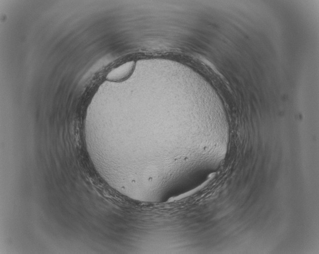 X0000072511016200608041501