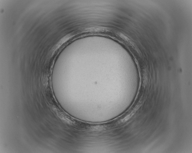 X0000072511017200608041501