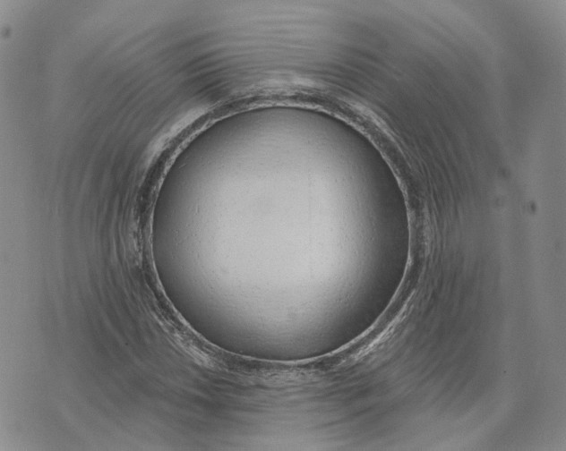 X0000072511018200608041501