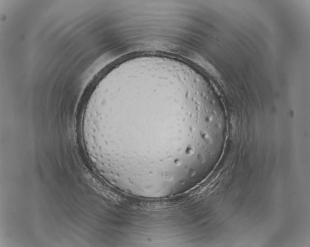 X0000072511020200608041501