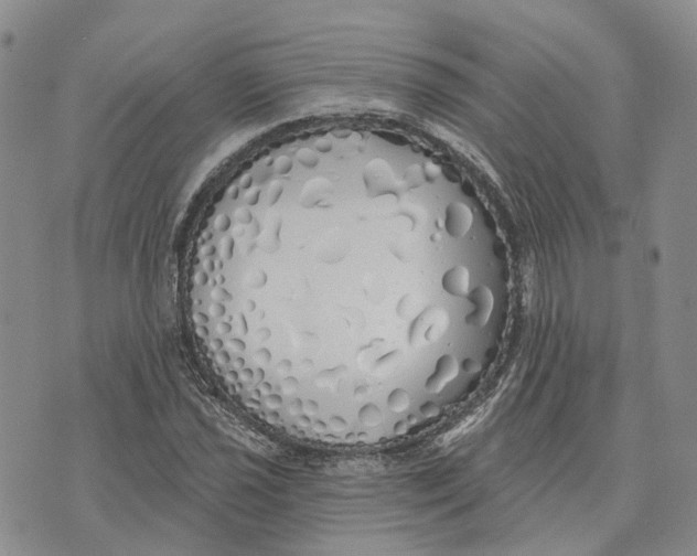 X0000072511021200608041501