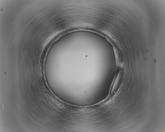 X0000072511022200608041501