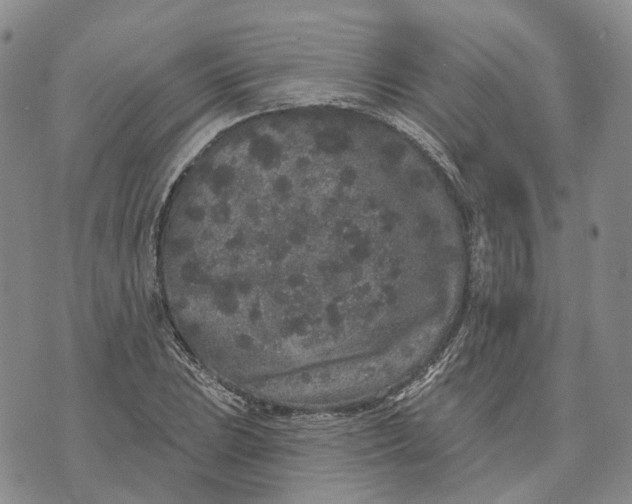 X0000072511023200608041501