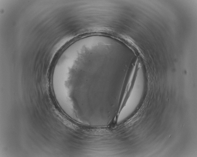 X0000072511024200608041501