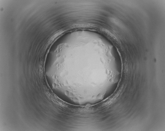 X0000072511025200608041501