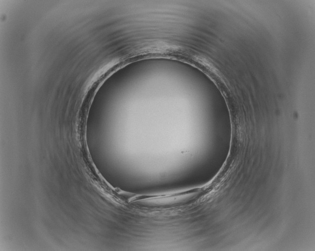 X0000072511026200608041501