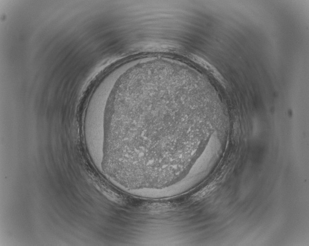 X0000072511027200608041501