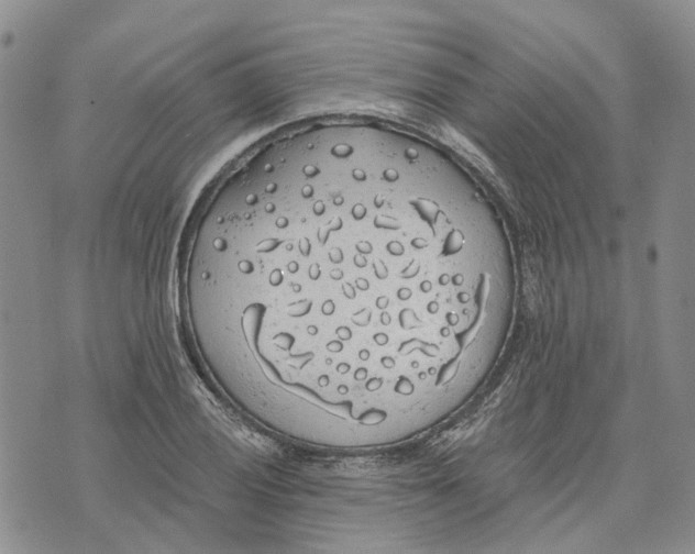 X0000072511028200608041501