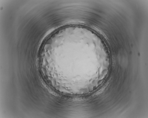 X0000072511029200608041501