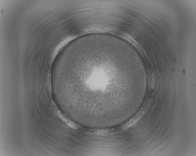 X0000072511030200608041501