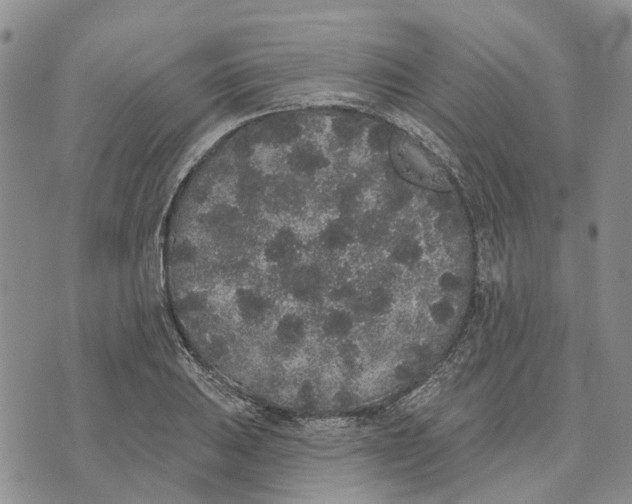 X0000072511031200608041501