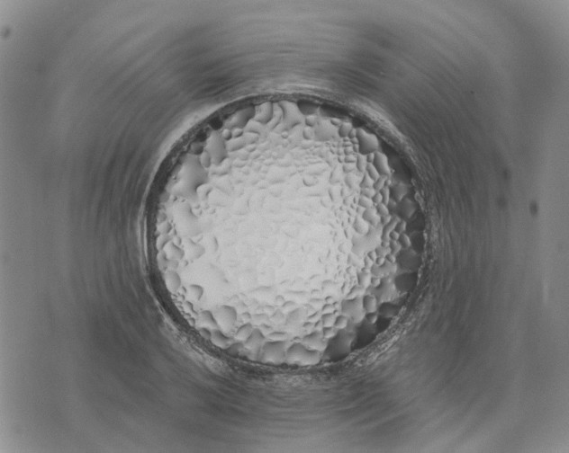 X0000072511032200608041501