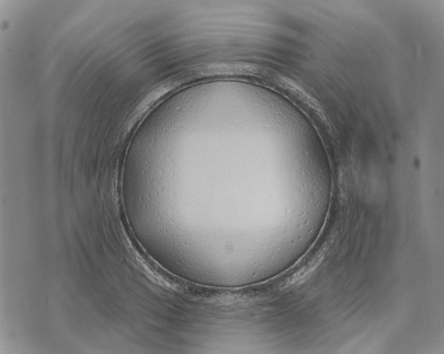 X0000072511033200608041501