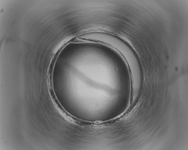 X0000072511034200608041501