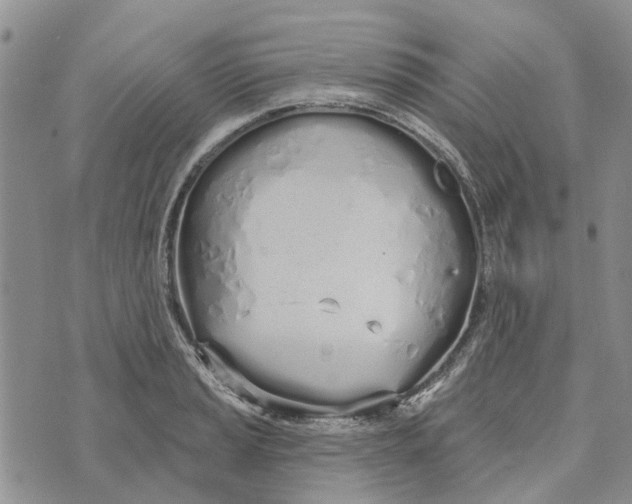 X0000072511037200608041501