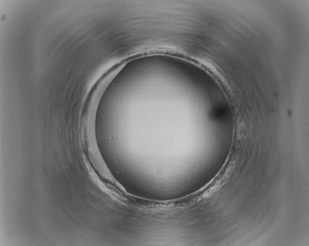 X0000072511038200608041501