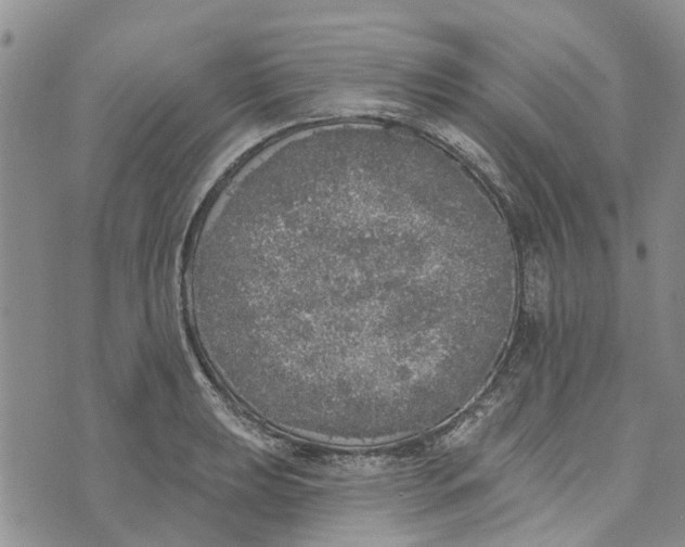 X0000072511039200608041501