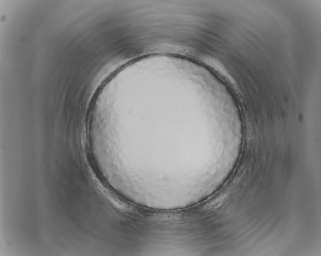 X0000072511040200608041501