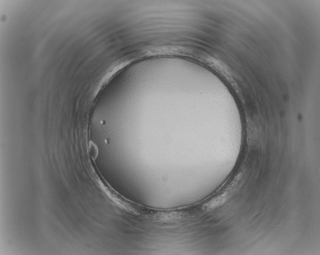 X0000072511041200608041501