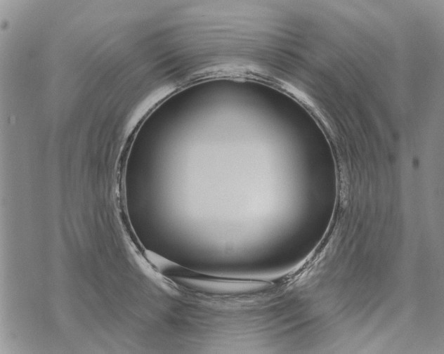 X0000072511042200608041501