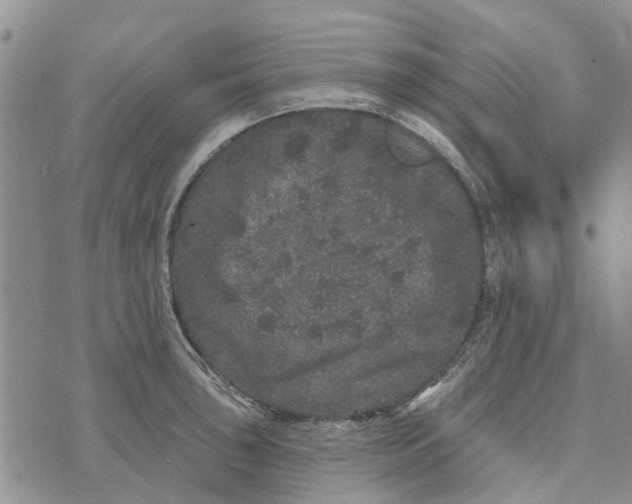 X0000072511043200608041501