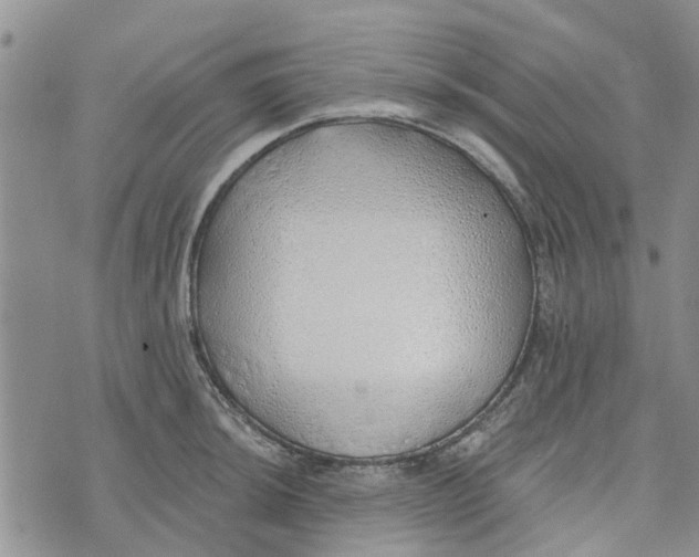 X0000072511044200608041501