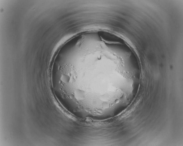 X0000072511045200608041501