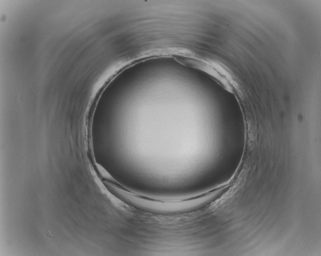 X0000072511046200608041501