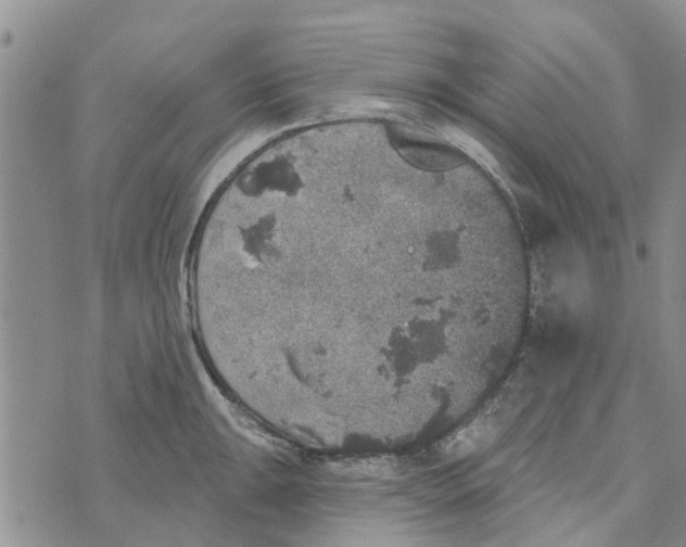 X0000072511047200608041501